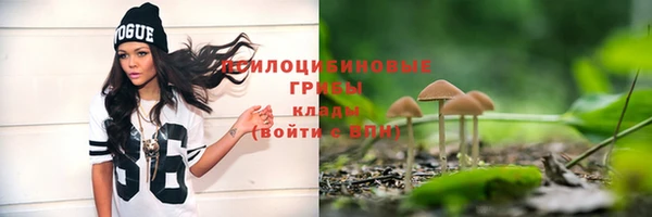 амфетамин Алексеевка