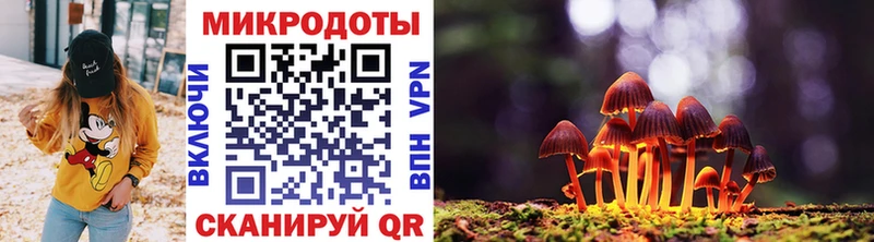 Галлюциногенные грибы Cubensis  наркошоп  Тайшет 